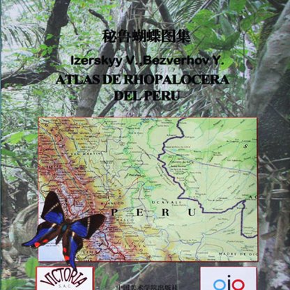 Official Catalog of the Butterflies Of Peruvian Selva Over 569 Butterfly