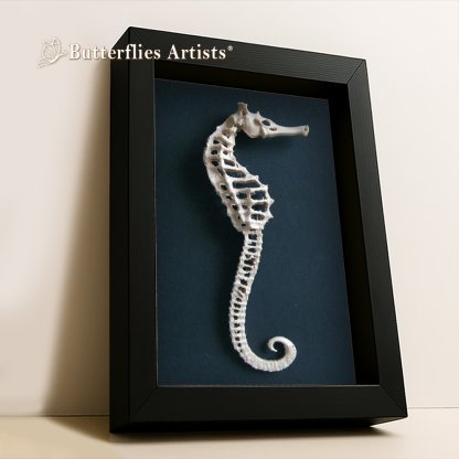 •Hippocampus Erectus Realistic Replica Seahorse Framed Marine Decorative Taxidermy-Style Shadowbox