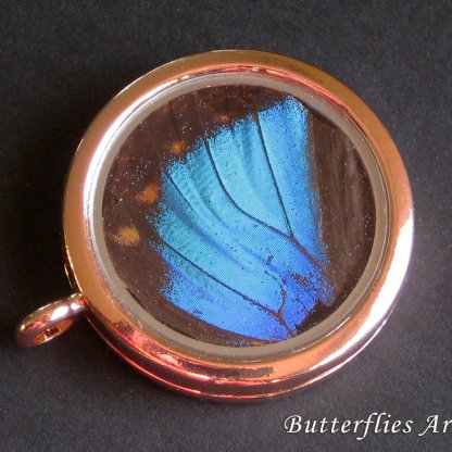 Real Butterfly Wing Jewelry Necklace Keychain Blue Reflector Prepona Chromus