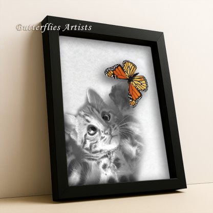 Real Monarch Butterfly Framed Danaus Plexippus & Bengal Kitten Shadowbox Unique Display Wall Decor