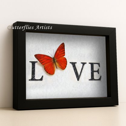 Red Heart Be Mine Valentine Appias Nero Real Butterfly Framed Shadowbox