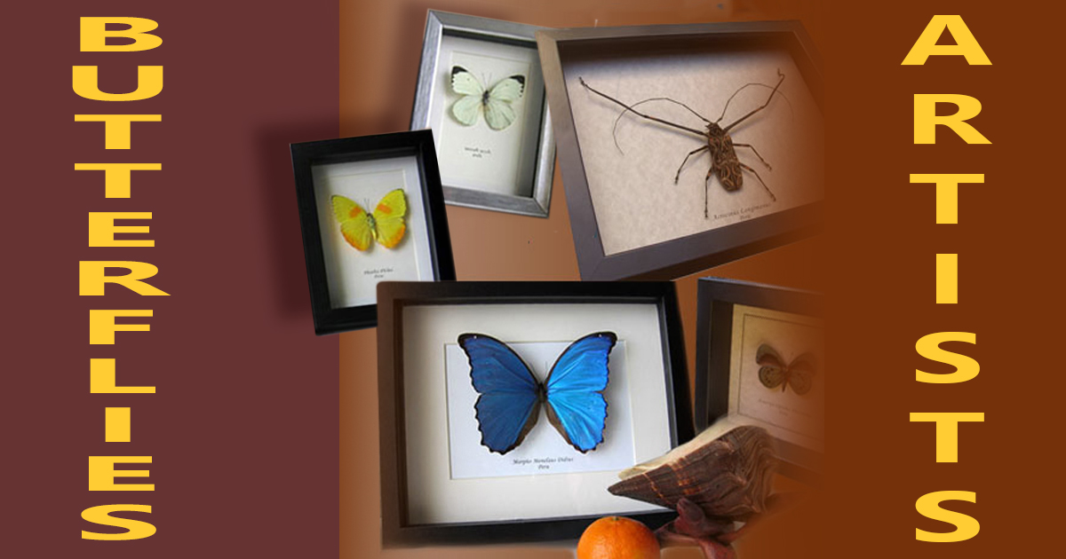 Butterflies of Peru ペルーの蝶類 Vol. 1 A Photo Guide to Butterflies of Peru - Dio's Butterfly World